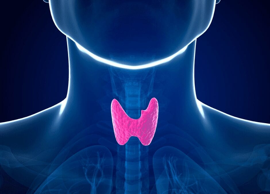 How Thyroid Health Affects the Skin