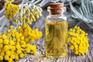 A bottle of helichrysum essential oil with fresh blooming helichrysum italicum