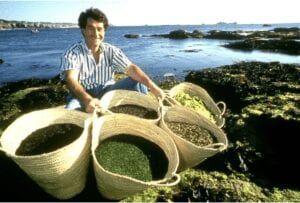Harvesting Algae for Skincare Products 
