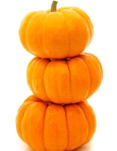 Pumpkin Stacked