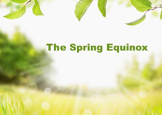 The Spring Equinox: Life Force Energy for Plant Medicine
