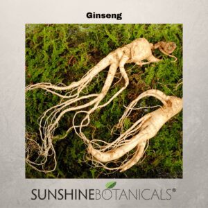Demand for ginseng is creating a ‘wild west’ in Appalachia With poachers cashing in on the Chinese appetite for American ginseng, growers are arming up.