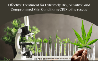 CBD and Your Skin