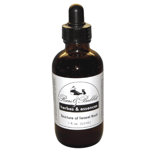Tincture of Teasel Root 1 oz